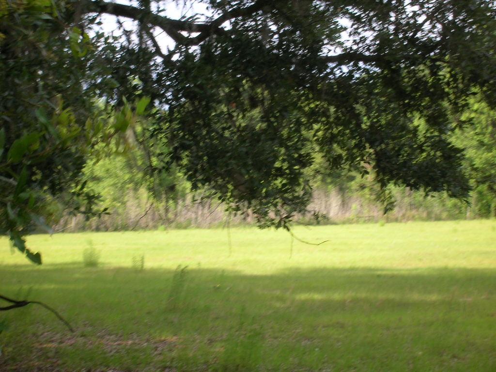 10 Acres A-1 General Agriculture Summerfield