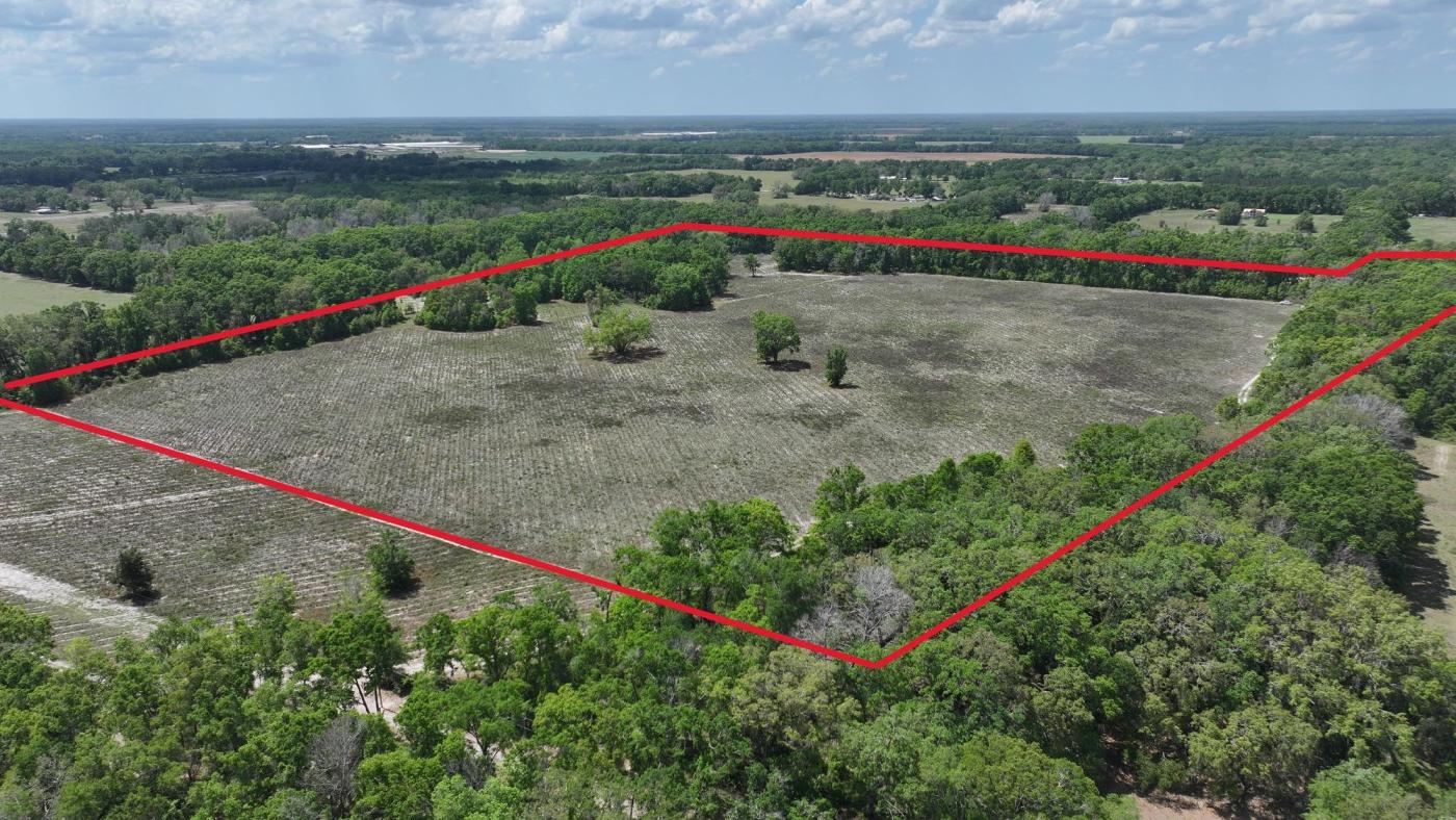 Bell Gilchrist 48 Acres