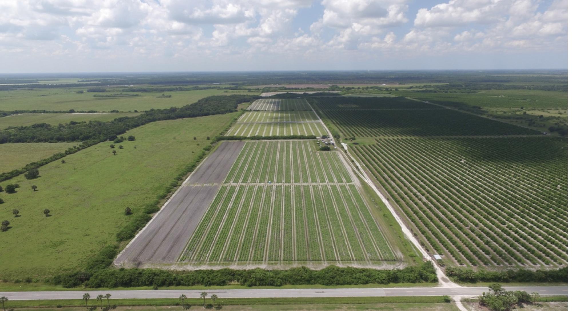 125+- ac zoned PD in Ruskin