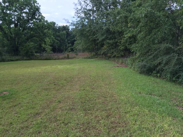 55± Acres for Residential  Development