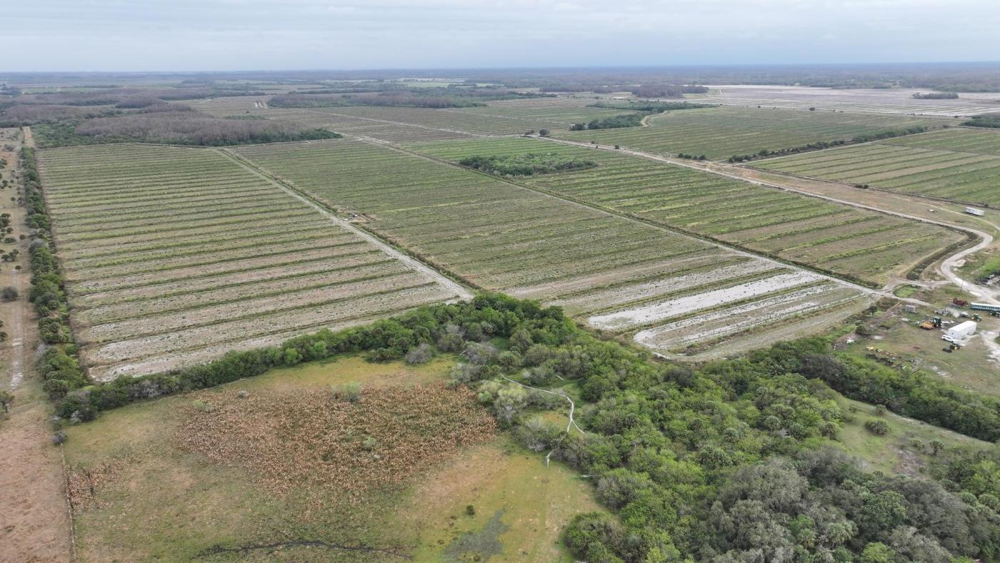 Duck Curve Farm
