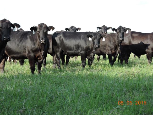 Richard Smith Ranch