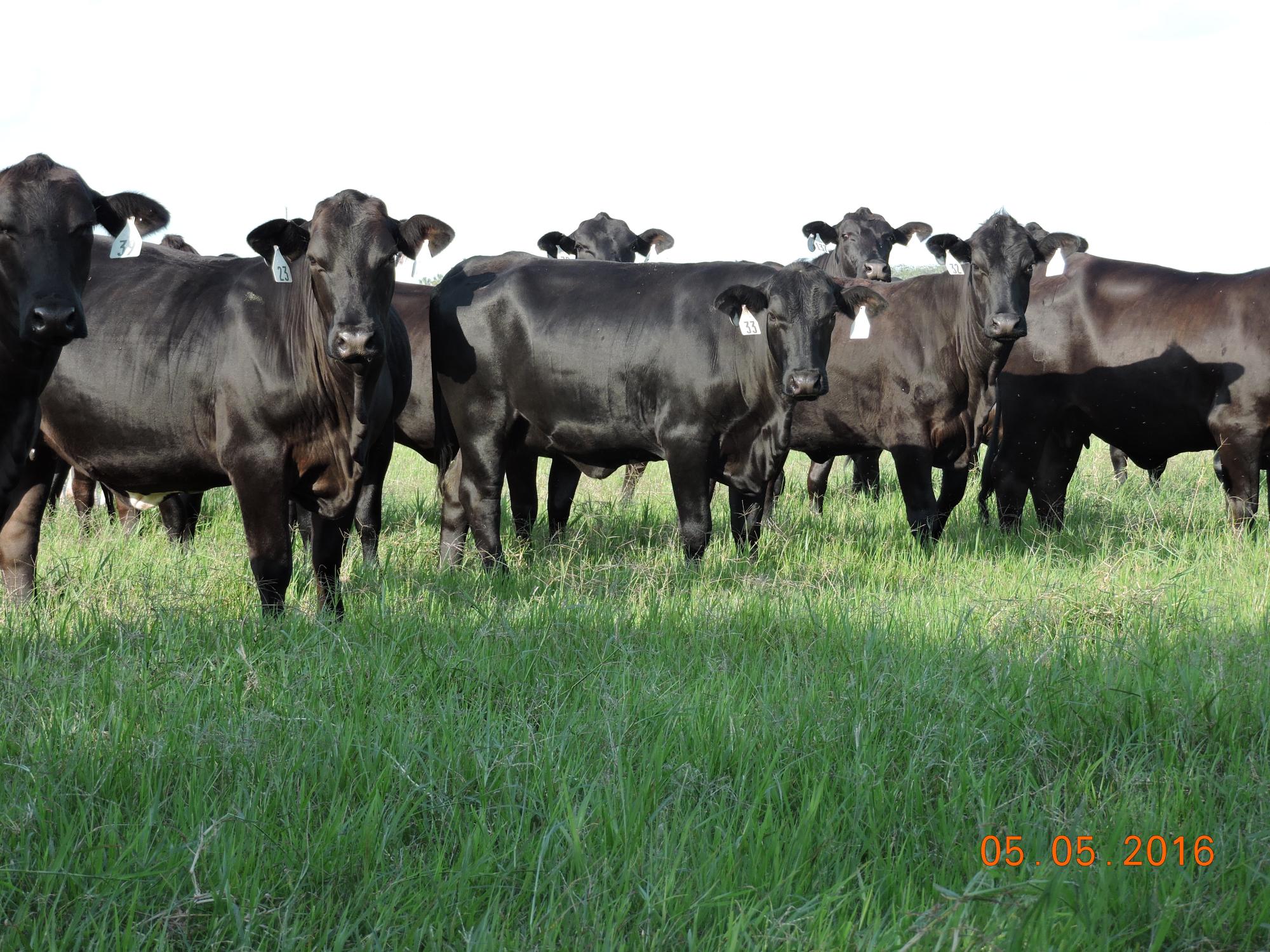 Richard Smith Ranch