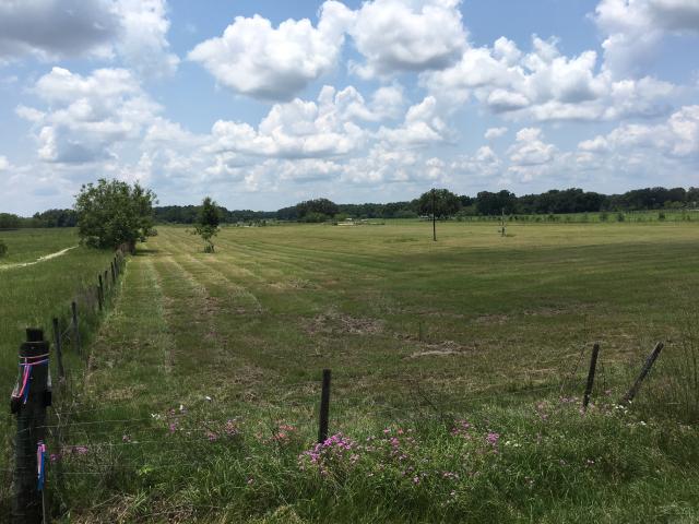 10 Acres just west of Hwy. 301 on C-462