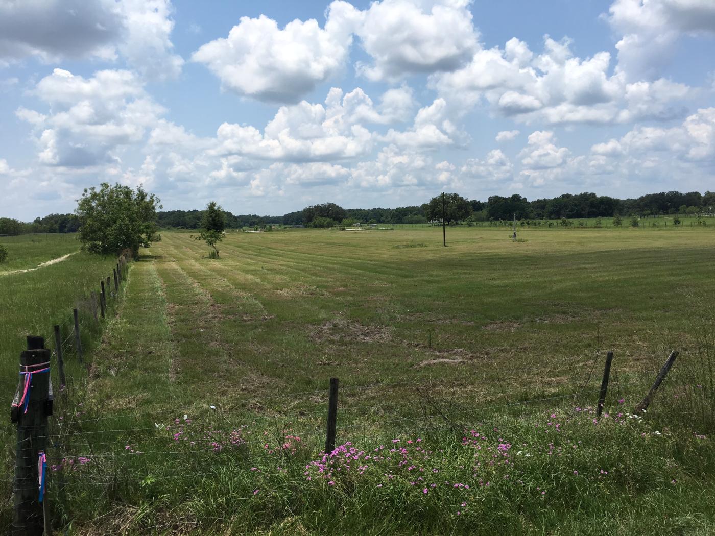 10 Acres just west of Hwy. 301 on C-462