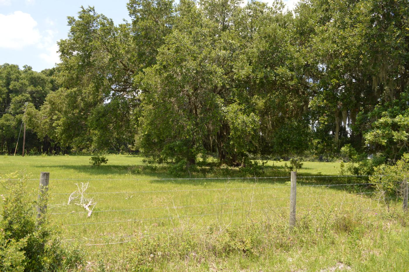 40 Acres Directly Across from Brownwood