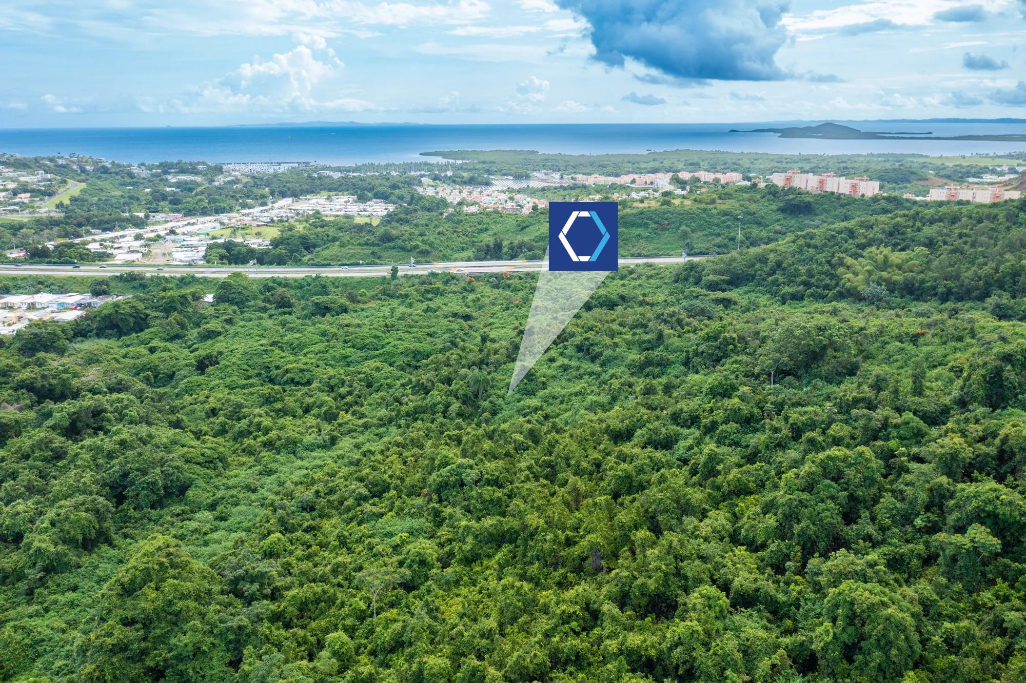 Ceiba Vacant Lands - FOR SALE