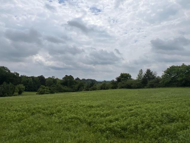27.63 Acres Pond, Grassed, Wooded Gordon Co.