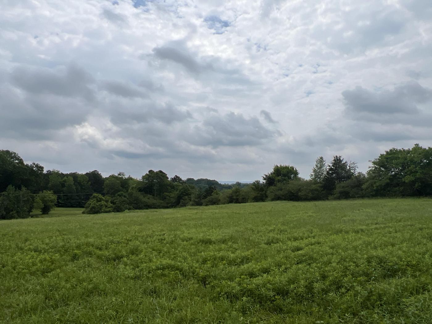 27.63 Acres Pond, Grassed, Wooded Gordon Co.