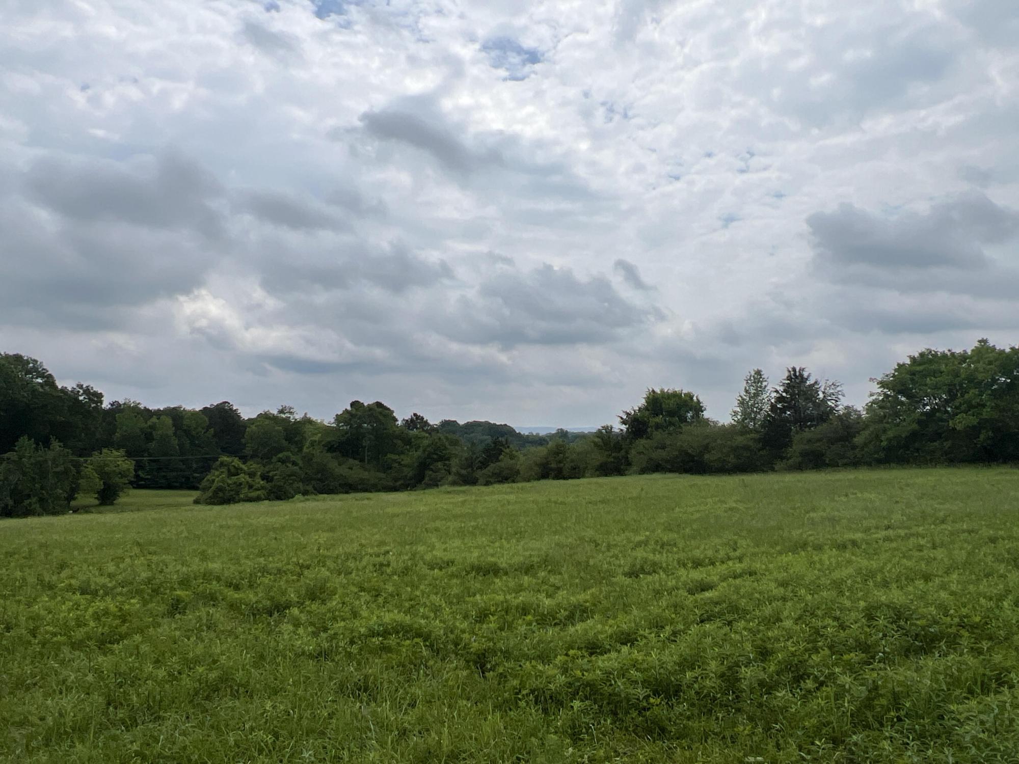 27.63 Acres Pond, Grassed, Wooded Gordon Co.