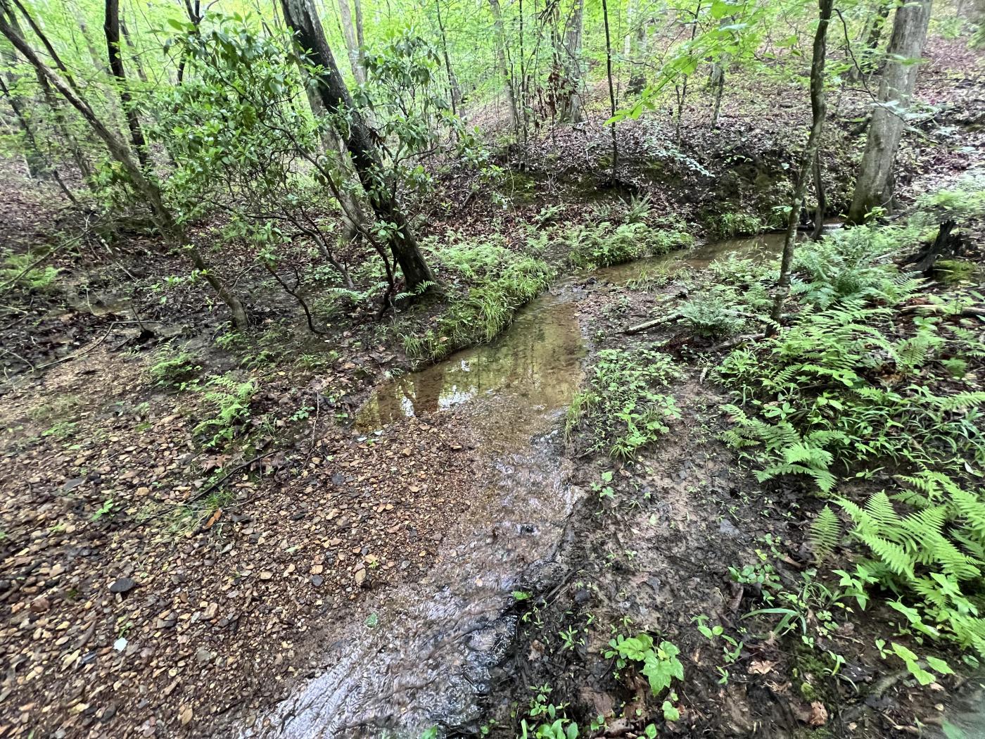 22.5± Acres – Creek, Power, Homesite