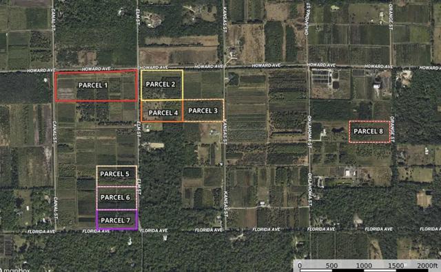 Black Hammock Agriculture/Estate Sites
