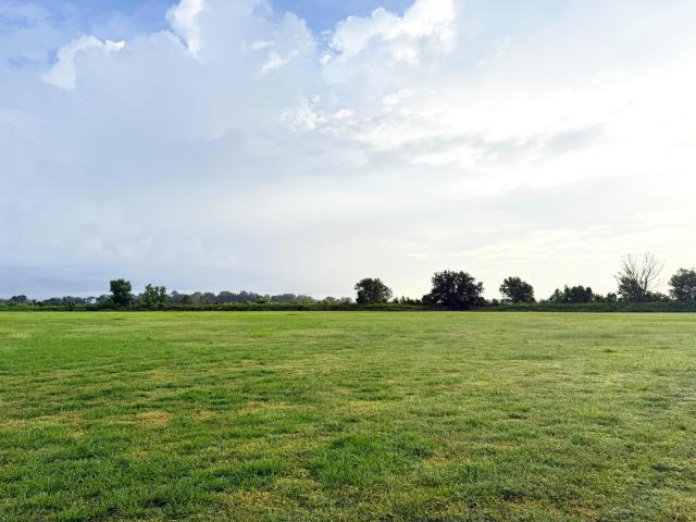 Sumter County Sod Farm