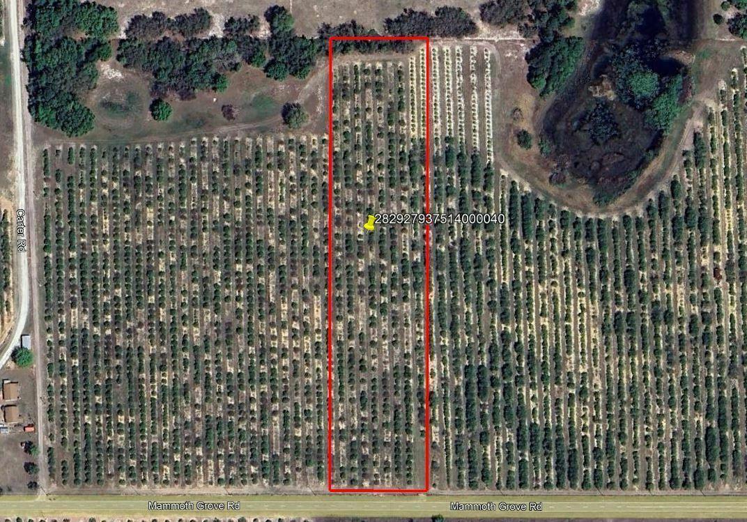 Mammoth Grove Road Lot 4