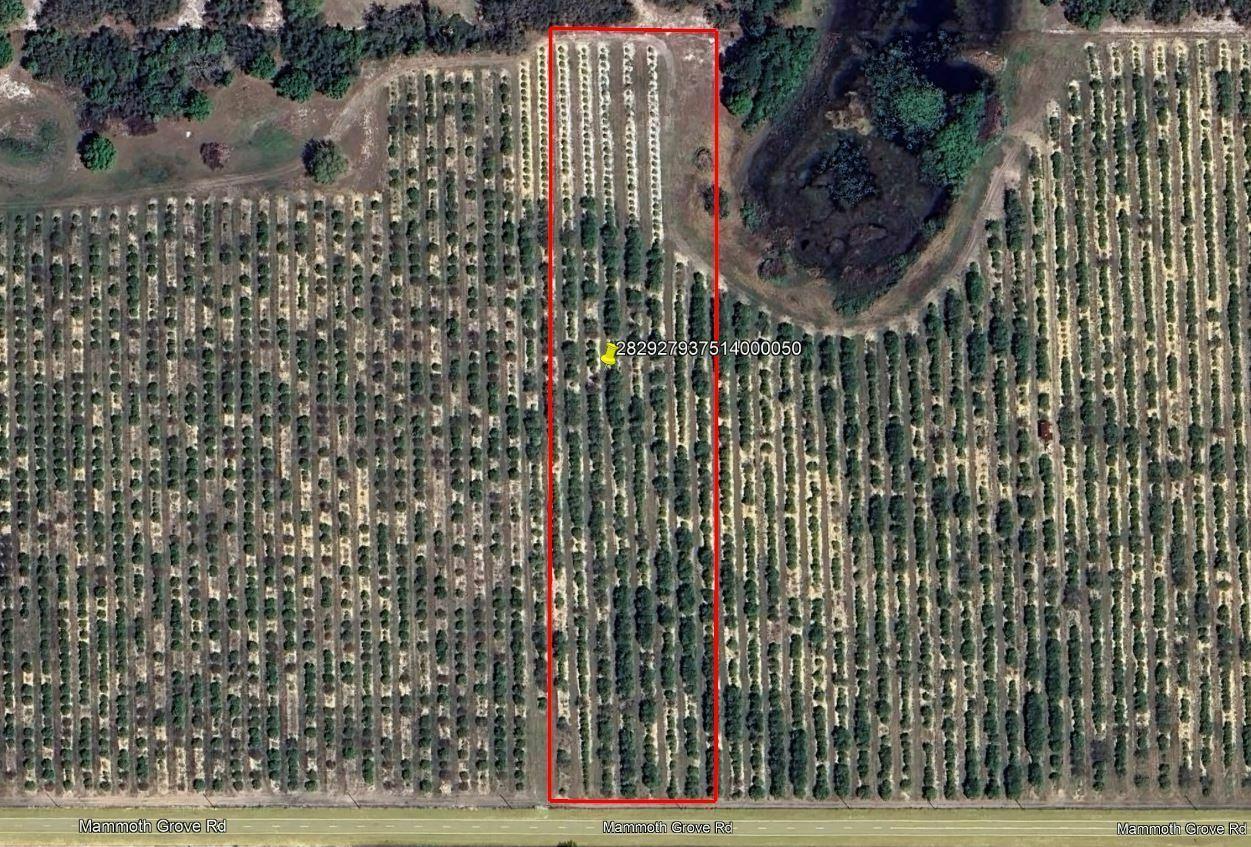 Mammoth Grove Road Lot 5
