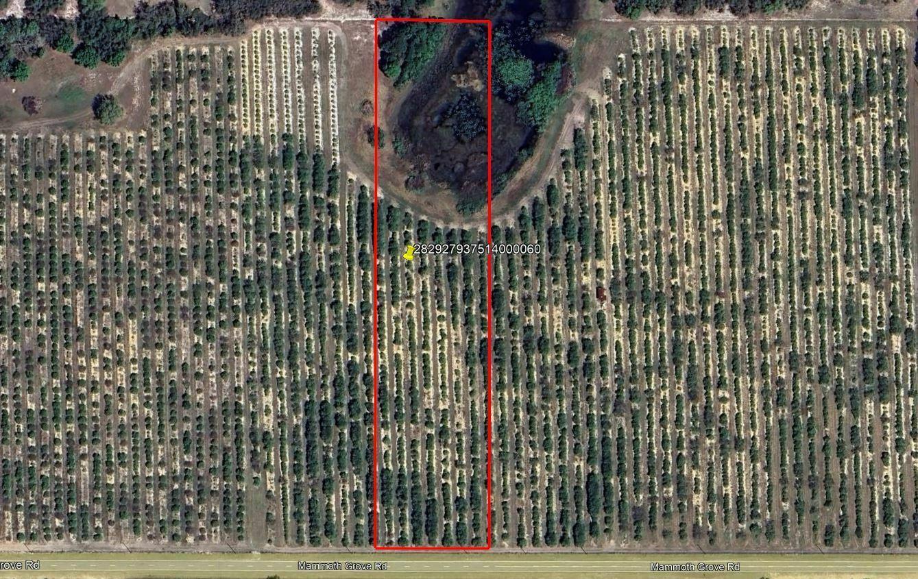 Mammoth Grove Road Lot 6
