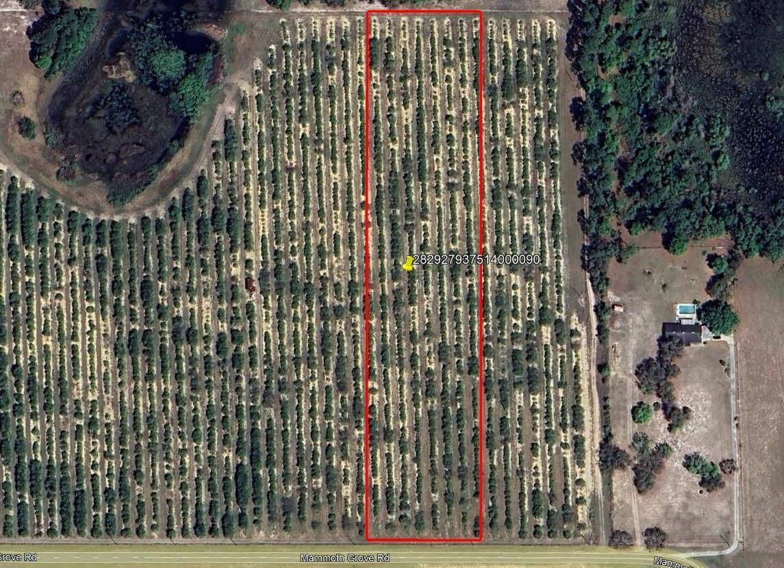 Mammoth Grove Road Lot 9