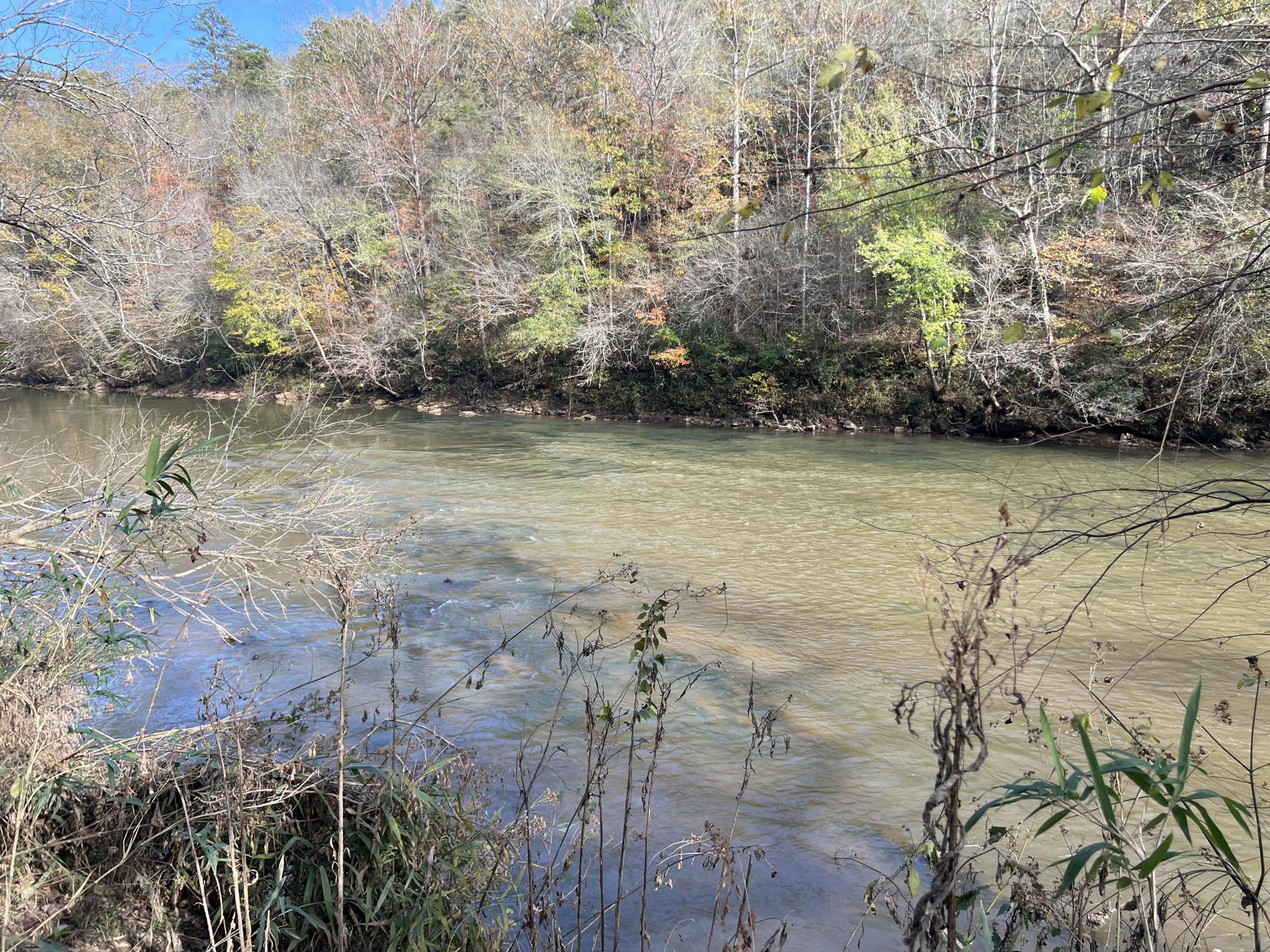 Broad River Frontage 59.47 Acres Madison Coun