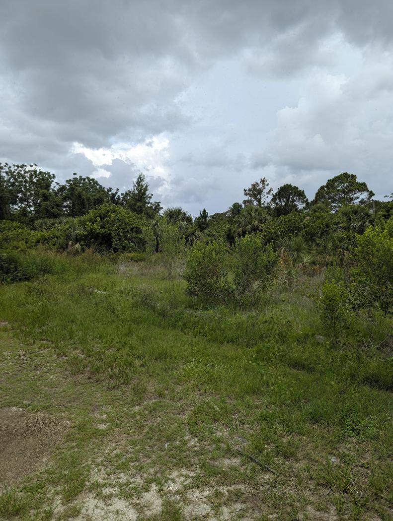 Commercial Land