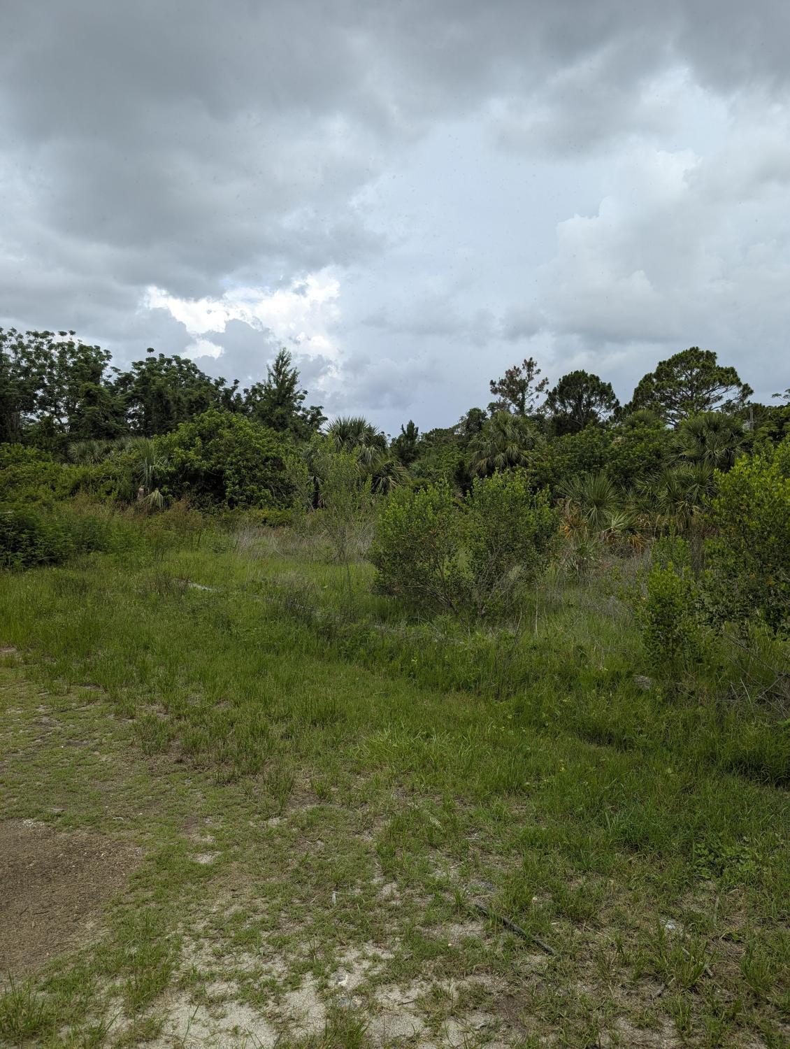 Commercial Land