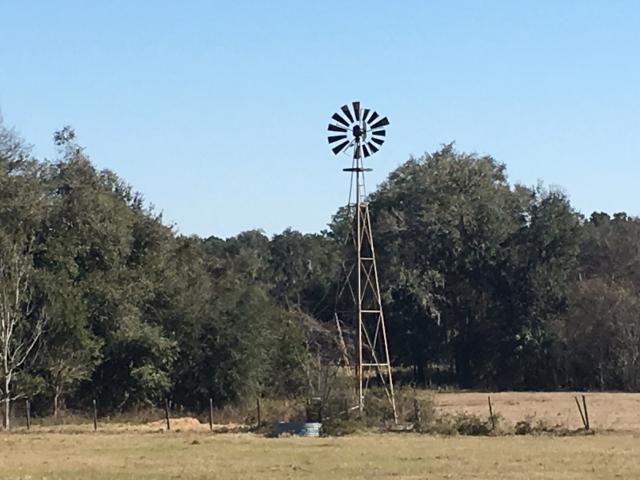 19.50 acres on CR 228