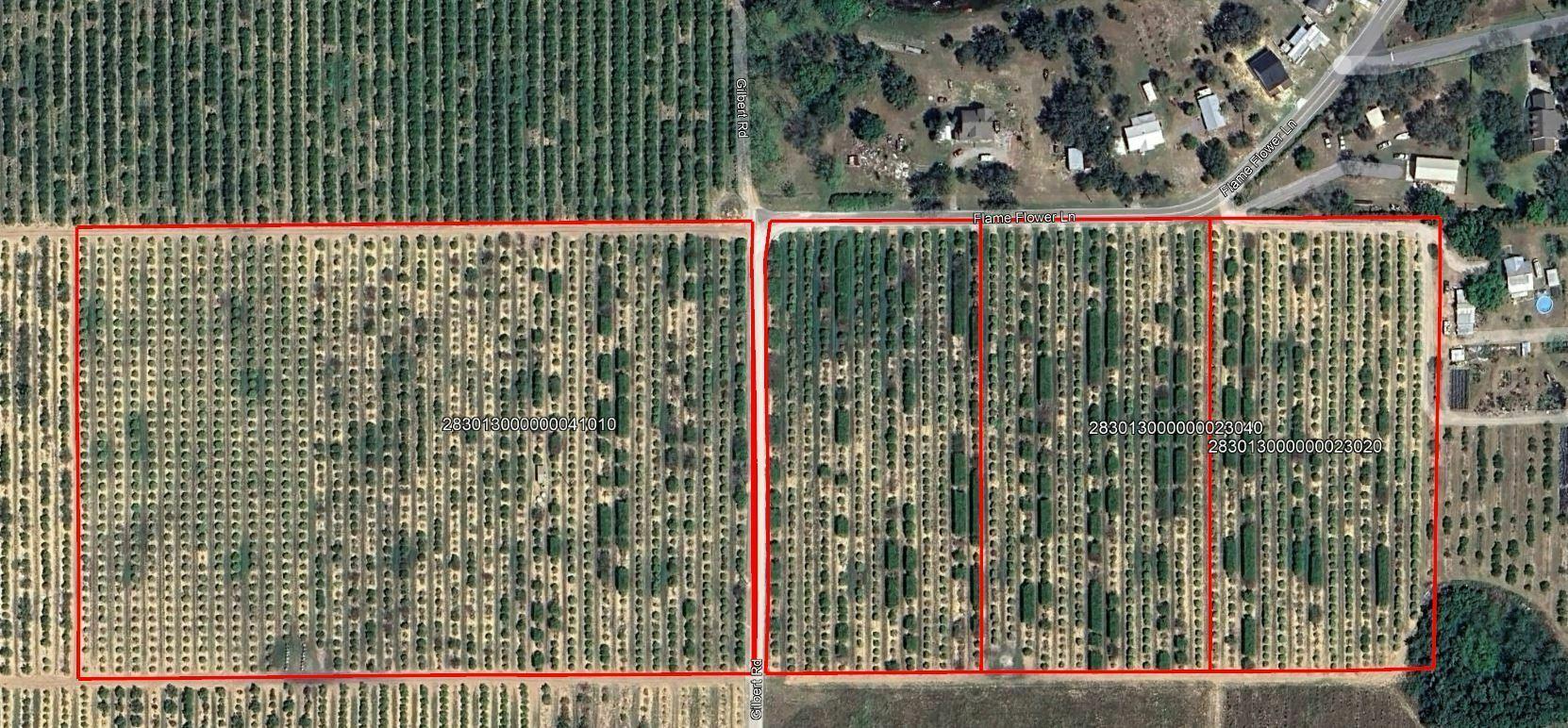 Turnkey 30-Acre Citrus Grove