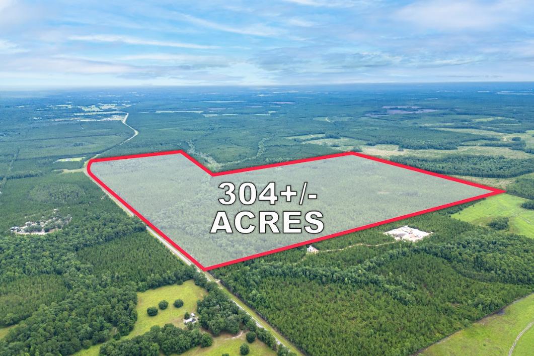 Creekside Woods - 304 +/- Acres in Nassau Cou