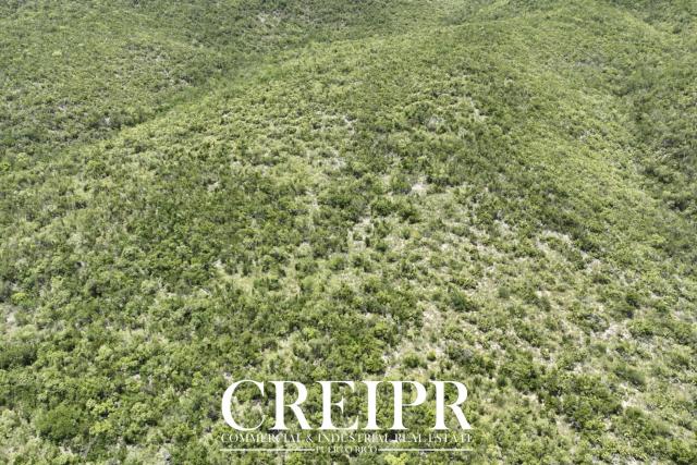 22 Acres Land for Sale - Ponce, PR