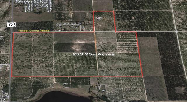 150+- ac on Scenic Hwy 17 in Lake Wales