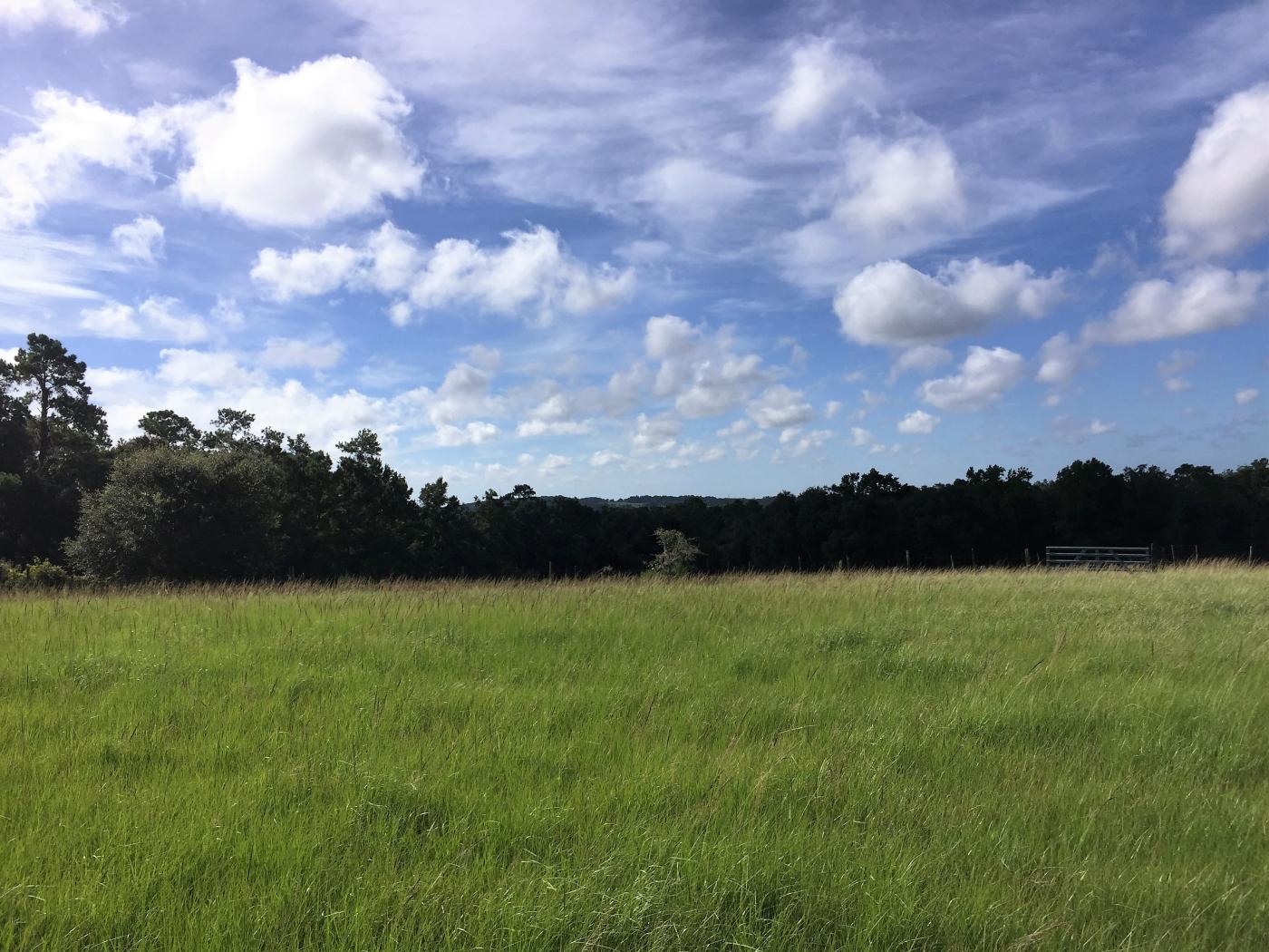 See for miles! 42.8 Acres of Pasture and Wood