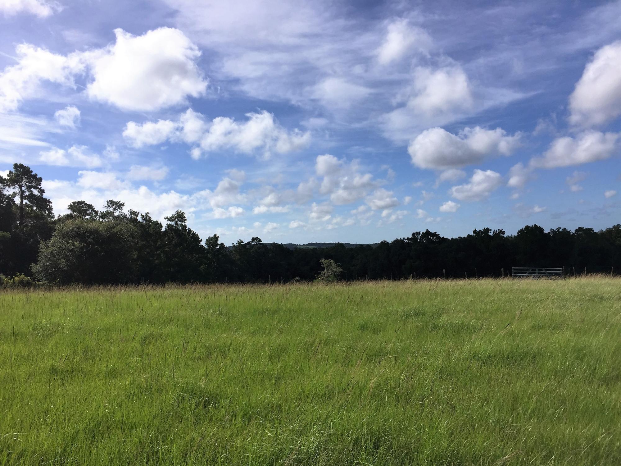 See for miles! 42.8 Acres of Pasture and Wood