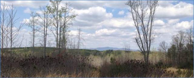 974 Acres on Cherry Grove Rd