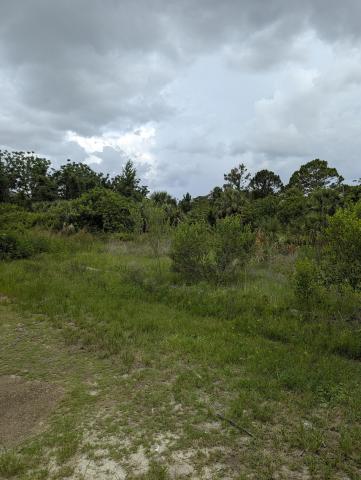 Commercial Land