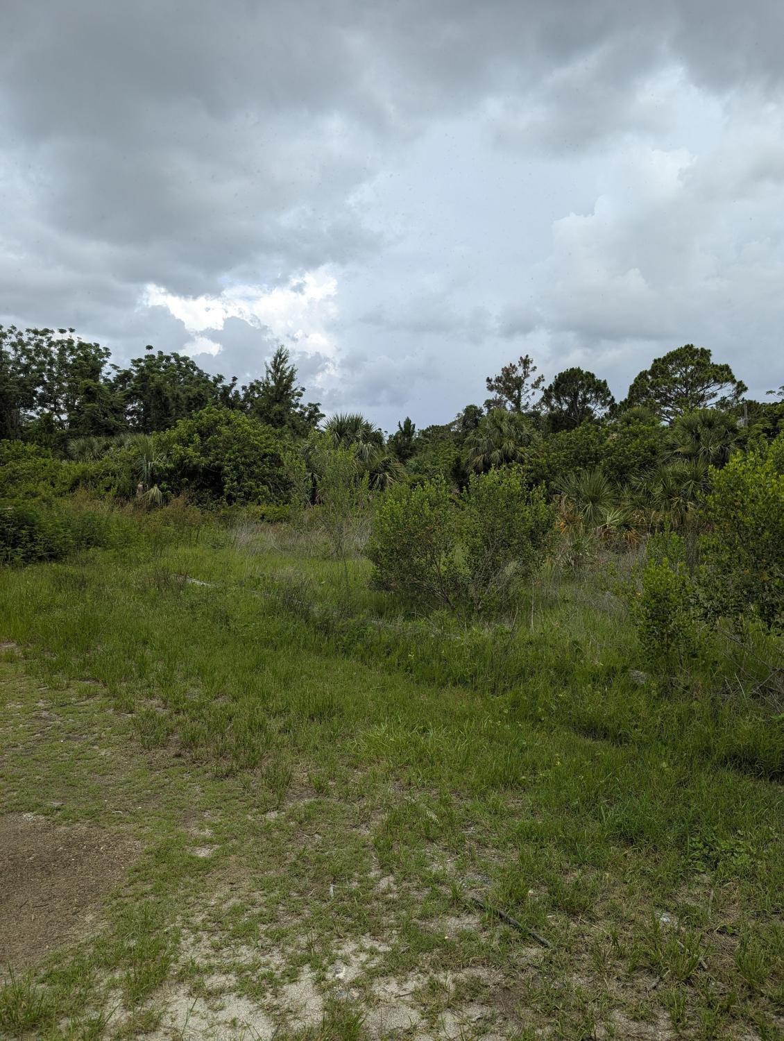 Commercial Land