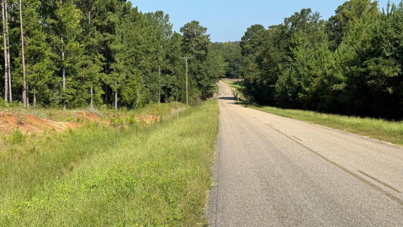 Snead Dale County Tract