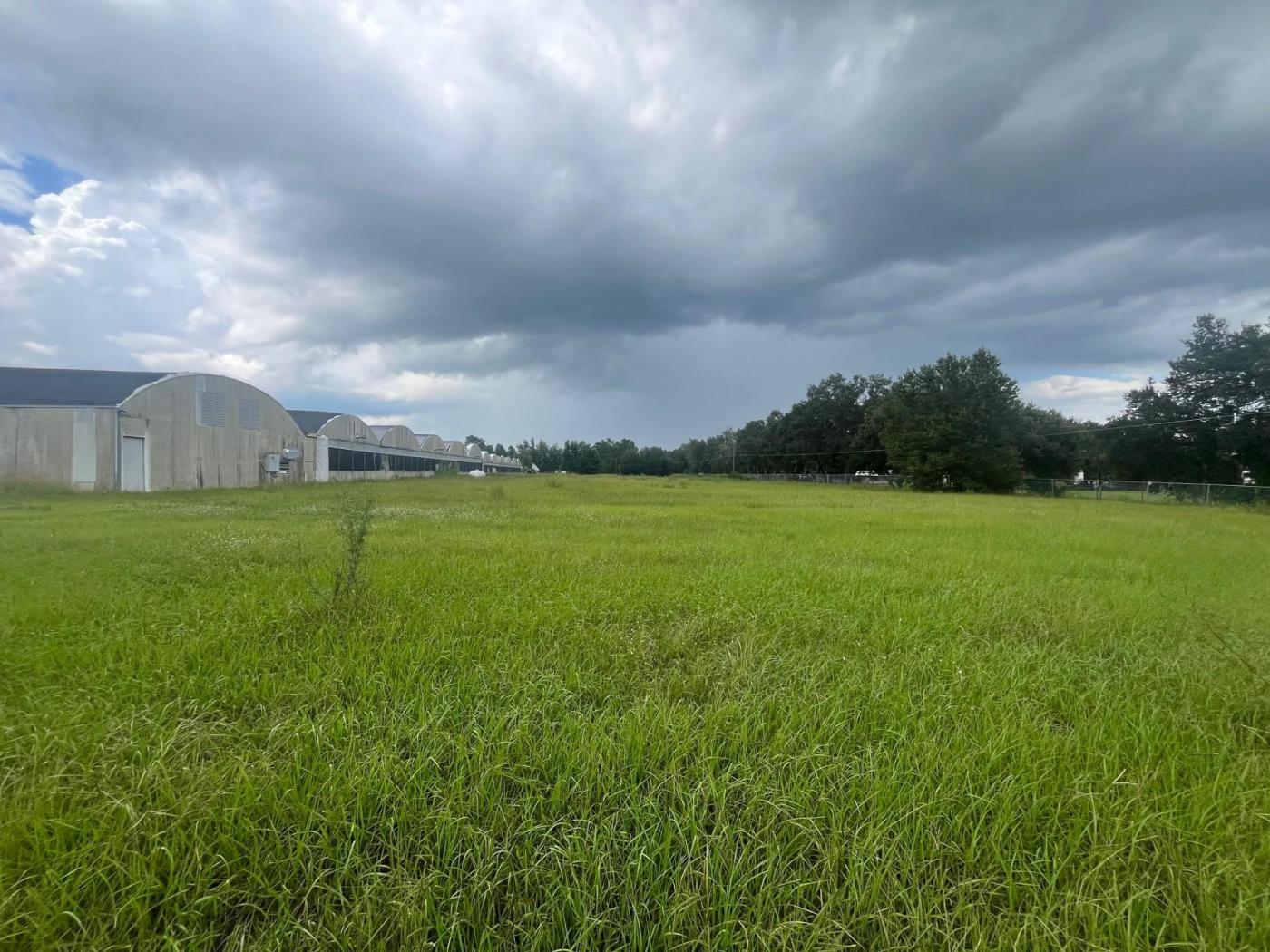 Double Poly Greenhouse 42,250 Sq Ft. w/office