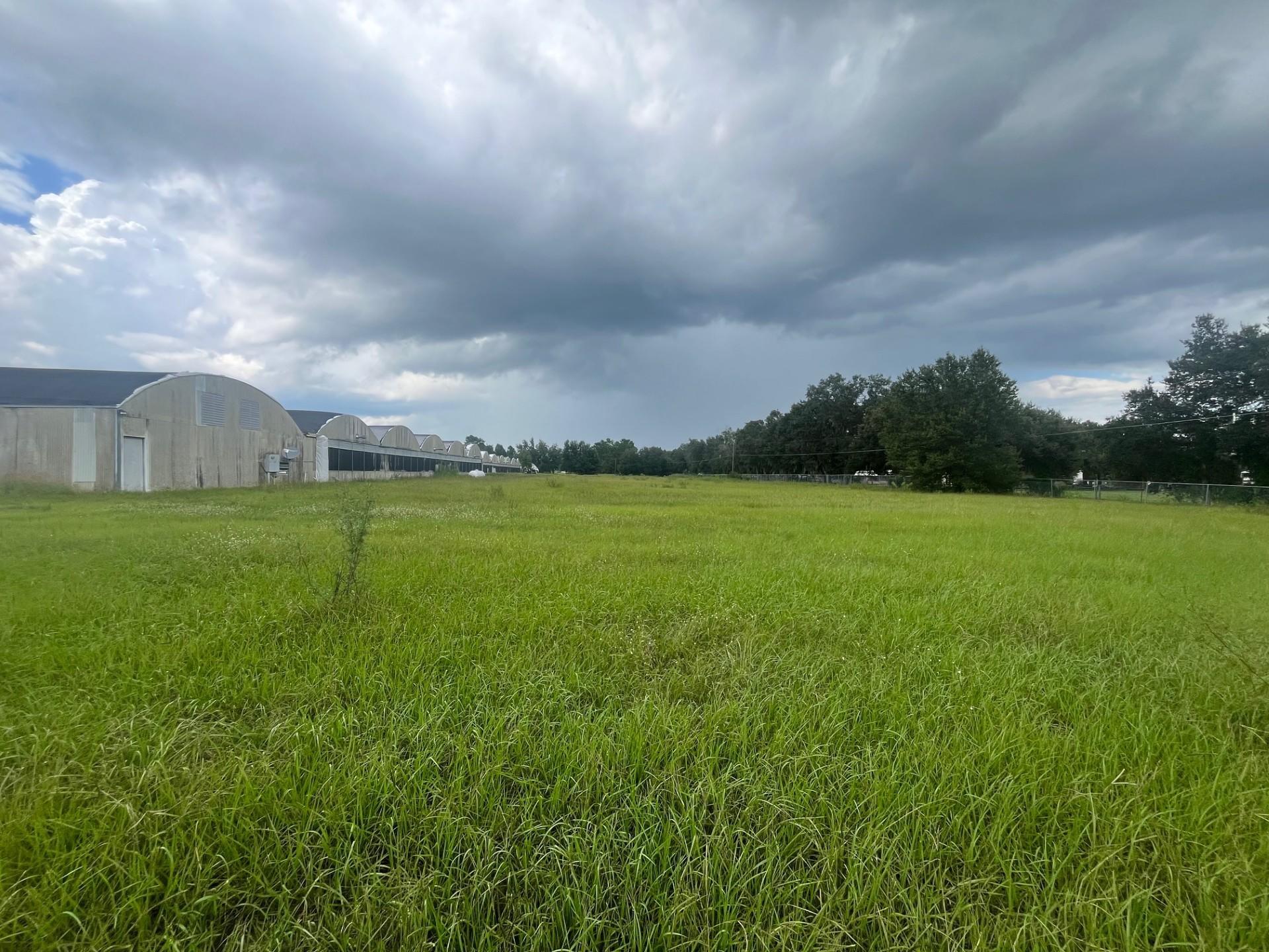 Double Poly Greenhouse 42,250 Sq Ft. w/office