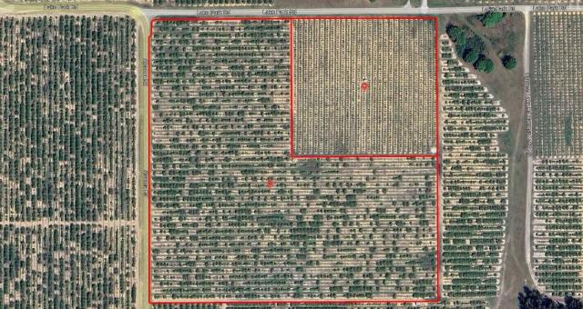 38.5 Acres in Lake Wales Citrus grove & Homes
