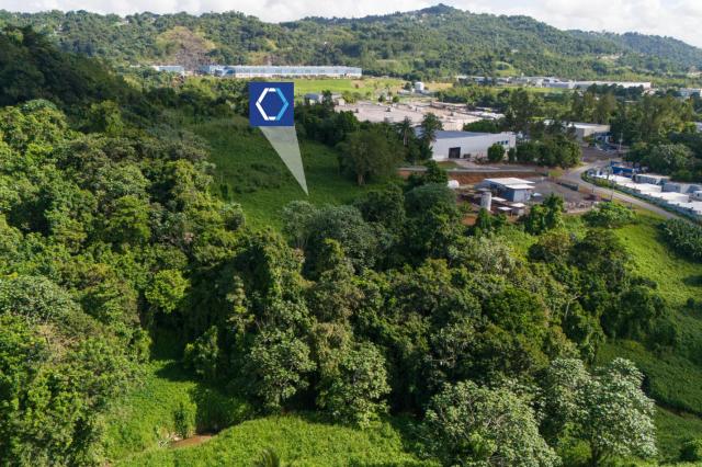 San Juan Vacant Land Parcel in Quebrada Arena
