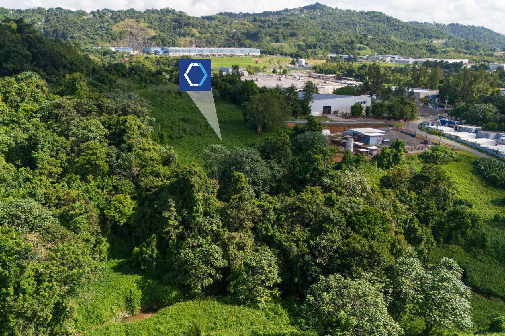 San Juan Vacant Land Parcel in Quebrada Arena