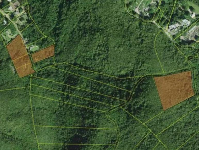 Ponce Agricultural 18.36 Acre Land @ Canas