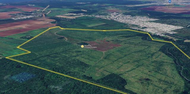 Large-scale farmland | Juana Diaz |465 Acres