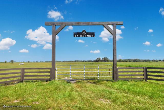 Limestone Ranch 161.82± Acres