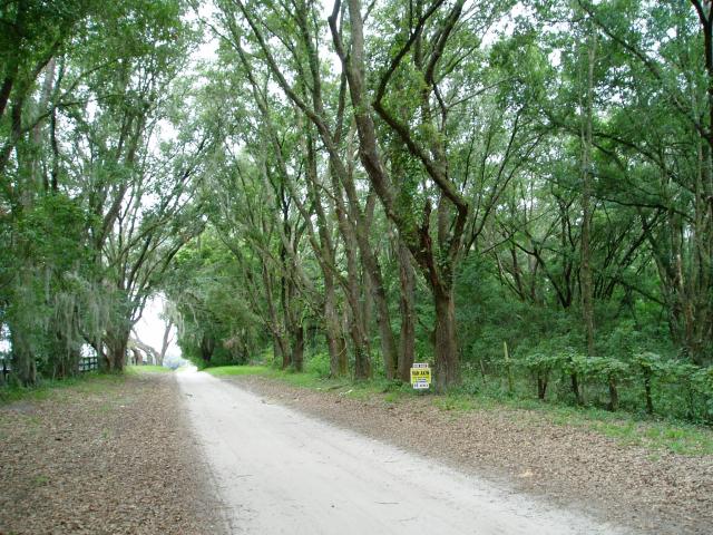 35 Acres Zoned A-1