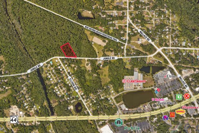 New Smyrna Beach Land