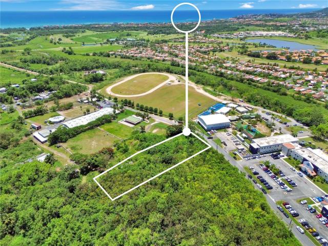 Lote Frente A Palmas Academy