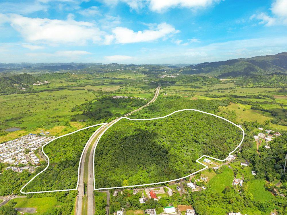 93 Cuerdas Bo.Maizales, Naguabo