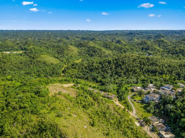 46-Acre Mountain Estate & Retreat Opportunity