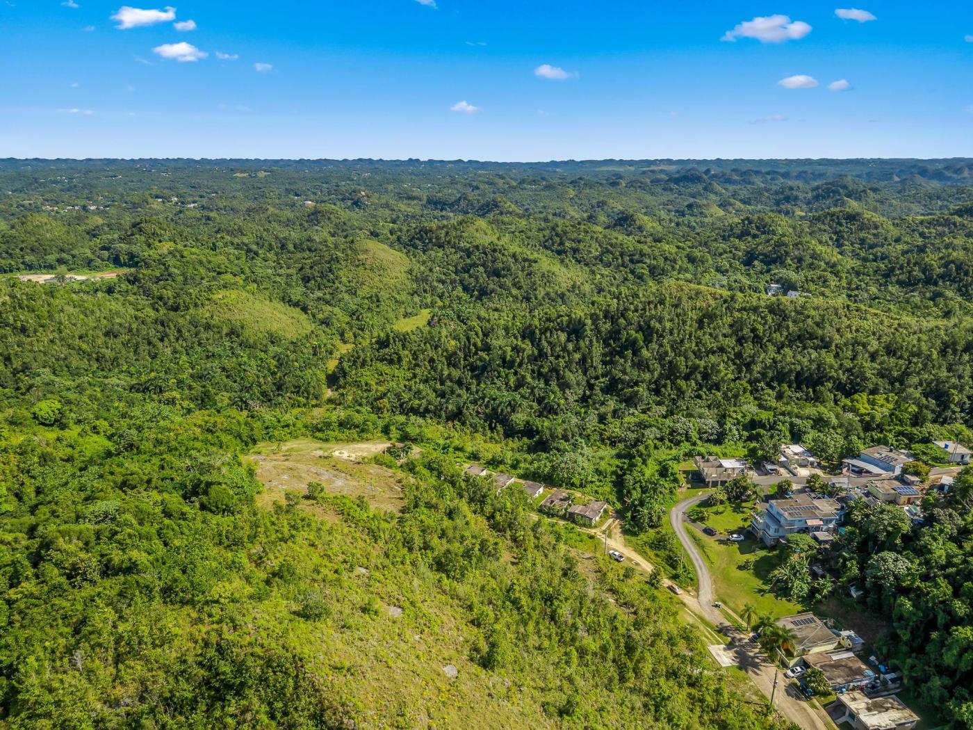 46-Acre Mountain Estate & Retreat Opportunity