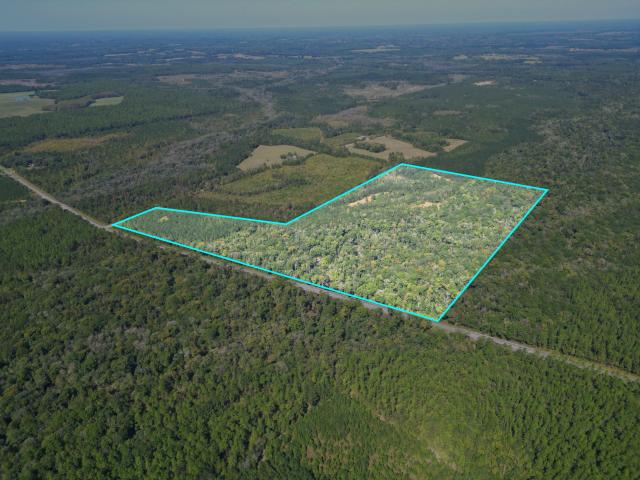 78 Acres Timber & Creekfront Investment